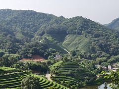-象头山国家级自然保护区