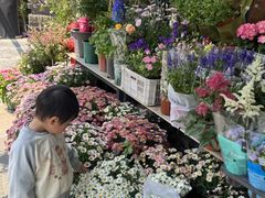 -溪岸路花鸟市场