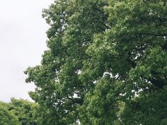 -上海滨江森林公园