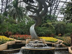 -南山植物园