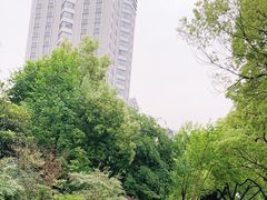 -杭州市第三人民医院