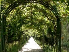 -合肥滨湖国家森林公园