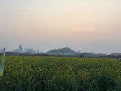 -光明小镇欢乐田园