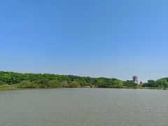 -大湾区中央湿地公园