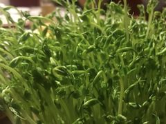 -好彩猪肚鸡(正弘城店)