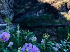 -江西龙虎山景区