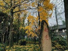 -成都武侯祠博物馆