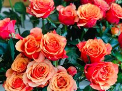 -SONGUOLIFE松果咖啡(七莘路店)