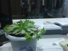 android_upload_pic-翰皇直营洗衣洗鞋(望京鹿港店)