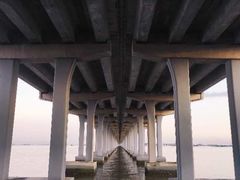 -宝安西湾红树林湿地公园