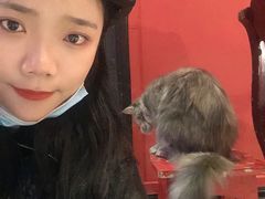-猫色咖啡·猫咖