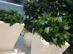 -远洋未来广场(育慧北路店)