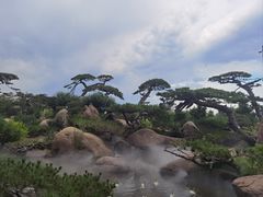 -罗红摄影艺术馆