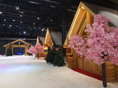 -宁波冰雪大世界(北仑区)