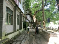 -小洲村