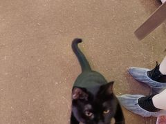 -大型宠物商超·宠海王国·宠物猫狗活体·用品·美容(新世界百货重庆店)