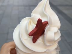 -红星前进面包牛奶公司(畅春园店)