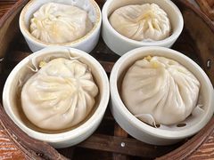 -莱莱小笼·乔艾