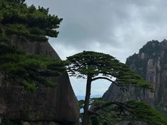 -黄山风景区