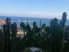 -广东惠东海龟国家级自然保护区