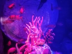 -沈阳海洋探索中心