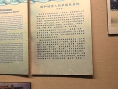 -新加坡佛牙寺龙华院