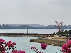 -荔湾湖公园