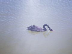 -天津东丽湖风景区