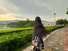 -飞来湖湿地公园