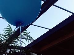 -云里小坐·小院里·团建·宴请·下午茶(三圣乡店)