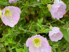 -苏州吴中太湖旅游区