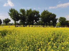 -长白岛森林公园