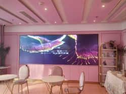 -莎蔓莉莎美容会所