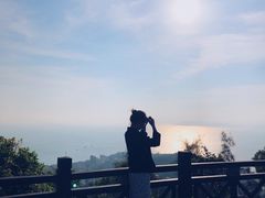 -广东惠东海龟国家级自然保护区