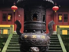-缙云山景区