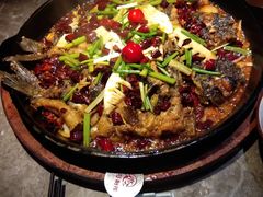 -老板恋上鱼(恒隆广场店)