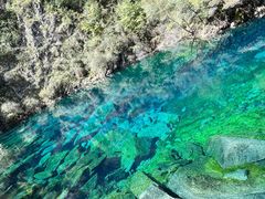 -叠溪松坪沟景区