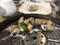 -海大大蒸汽海鲜餐厅·粤菜·特色小炒(欢乐颂店)