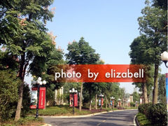 恒大酒店-湖北文旅洪宾红莲湖酒店