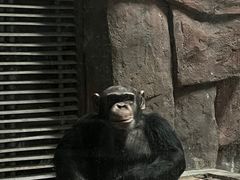 -蓉三少冒烤鸭·四川小吃集(北京首店)