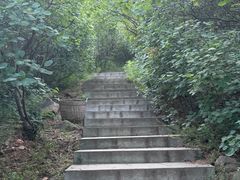 -北京西山国家森林公园