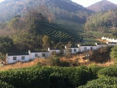 IMG_6675-余姚阳明温泉山庄