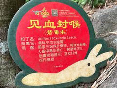 -呀诺达热带雨林