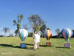 -武汉紫薇都市田园