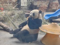 -石家庄市动物园