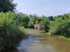 -白鹭湾湿地公园
