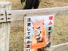 -神户市立六甲山牧场