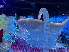-海合安成都极地海洋公园