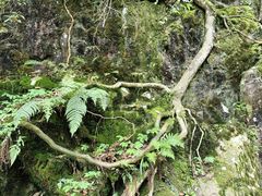 -西岭雪山大飞水景区