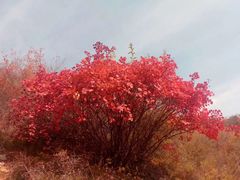 -山西通天峡景区